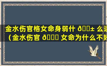 金水伤官格女命身弱什 🐱 么运（金水伤官 🐘 女命为什么不好看）